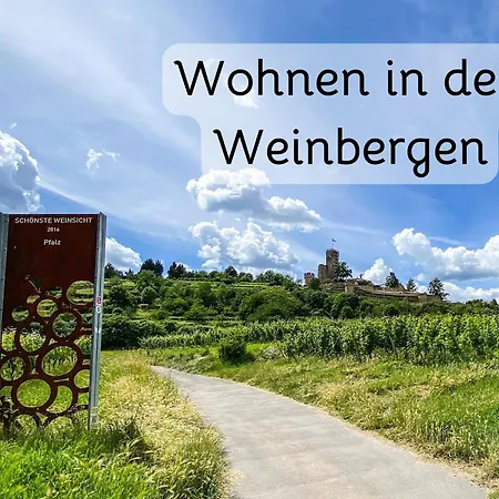 Apartment In Wachenheim