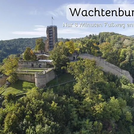 In Wachenheim Wachenheim an der Weinstraße